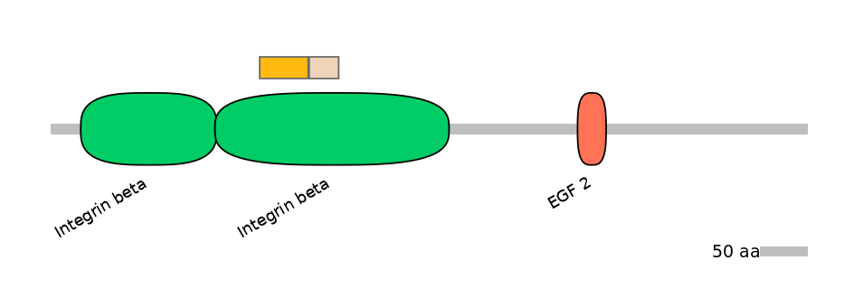 MmuINT0084117-EXC