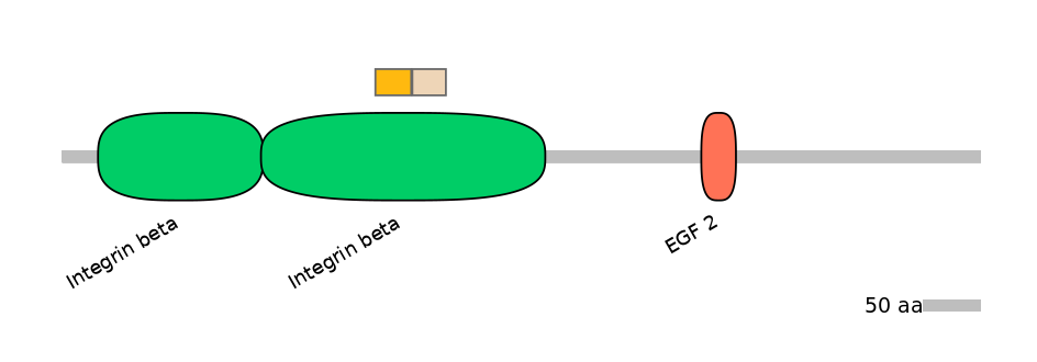 MmuINT0084118-EXC