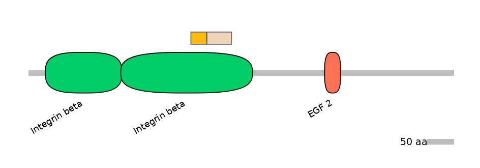 MmuINT0084119-EXC