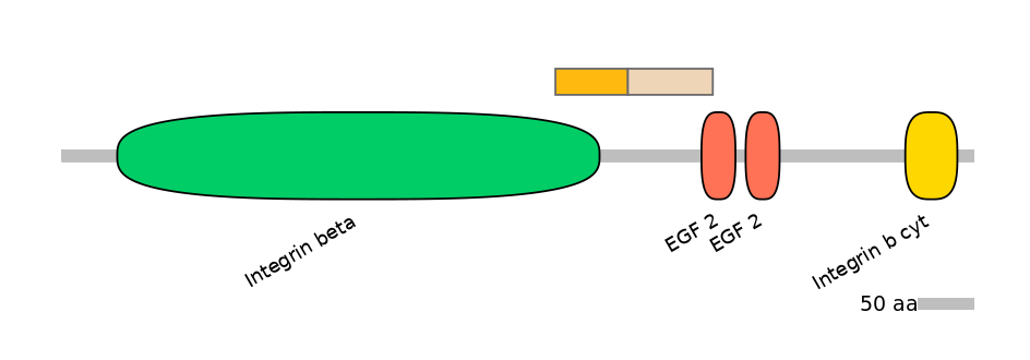 MmuINT0084211-EXC