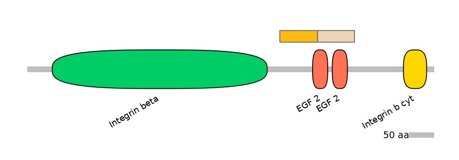 MmuINT0084212-EXC
