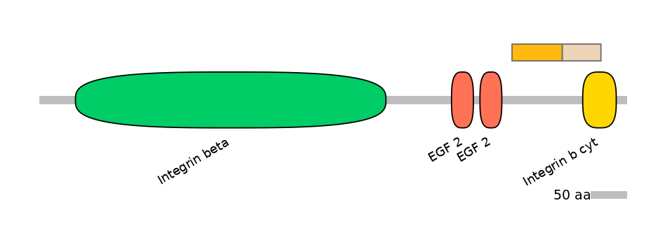 MmuINT0084214-EXC
