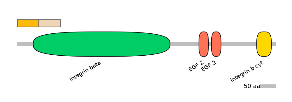 MmuINT0084216-EXC