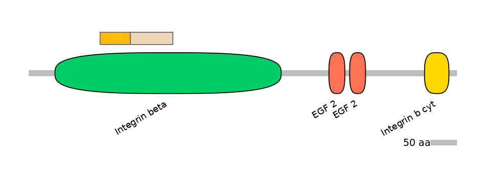 MmuINT0084218-EXC