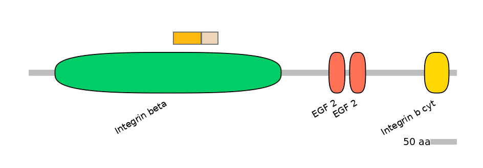 MmuINT0084220-EXC