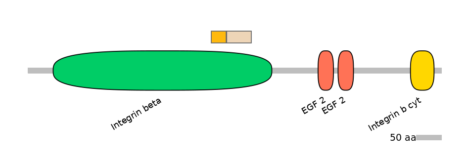 MmuINT0084222-EXC