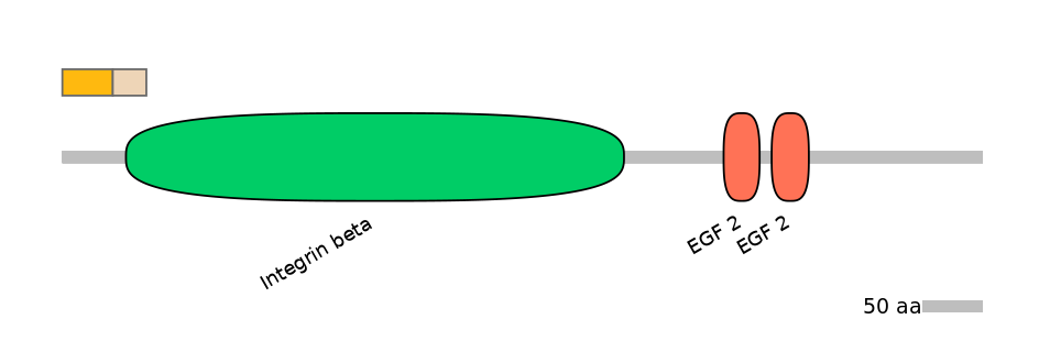 MmuINT0084224-EXC