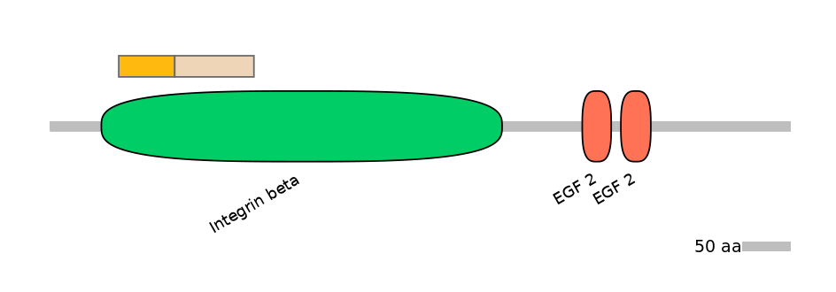 MmuINT0084230-EXC