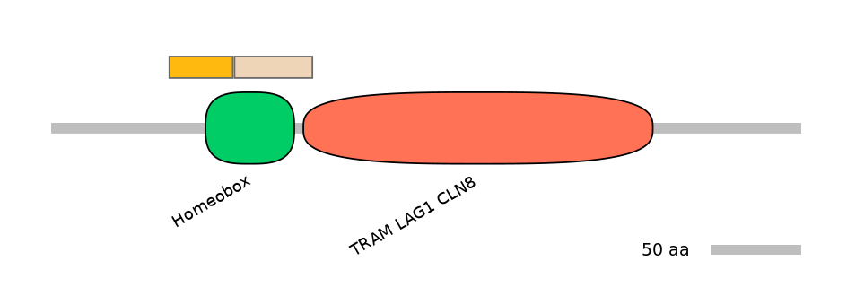 MmuINT0090062-EXC