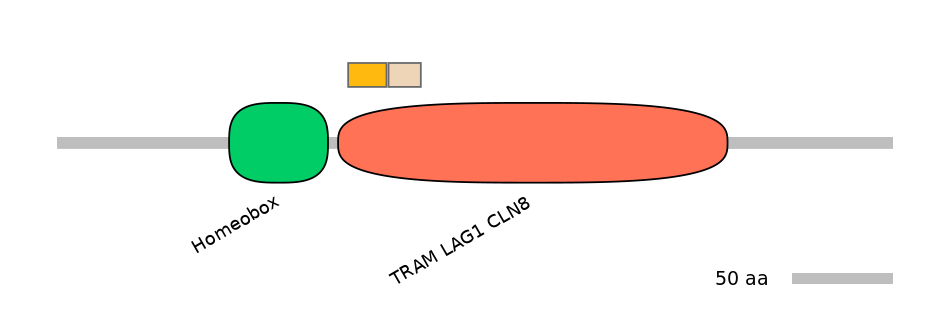 MmuINT0090064-EXC