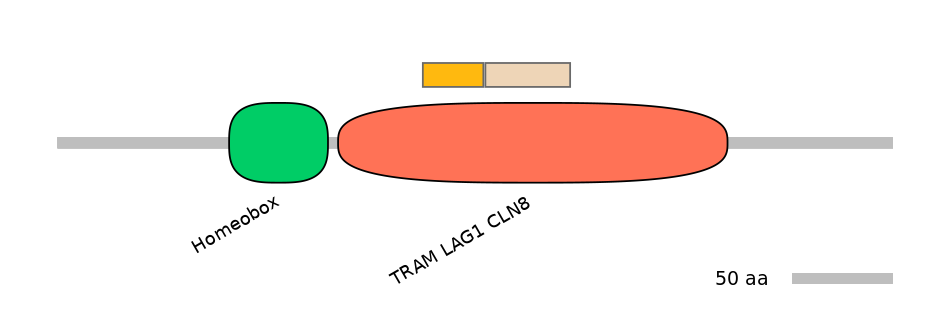 MmuINT0090066-EXC