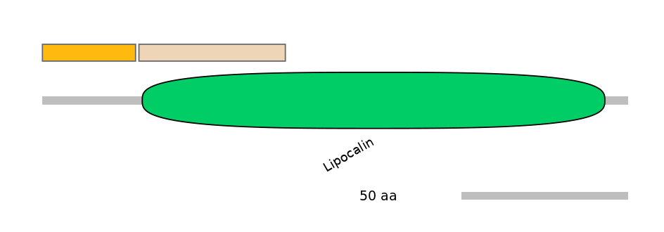 MmuINT0090244-EXC