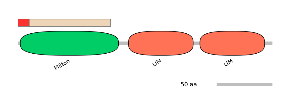 MmuINT0091574-INC