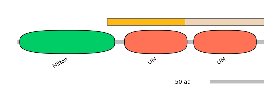 MmuINT0091576-EXC