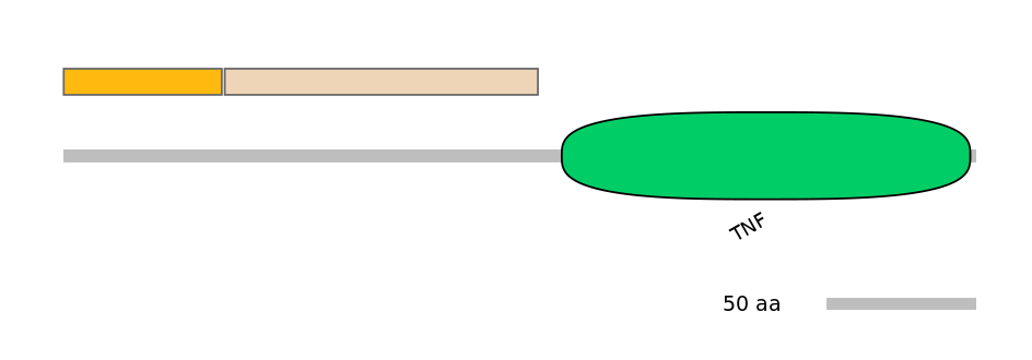 MmuINT0093652-EXC