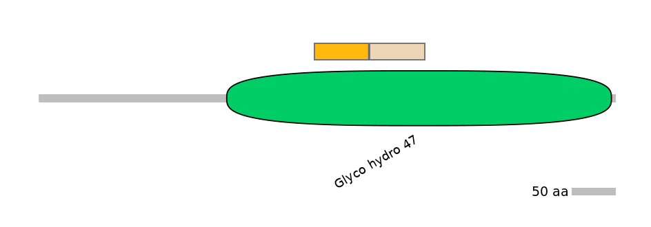 MmuINT0094771-EXC