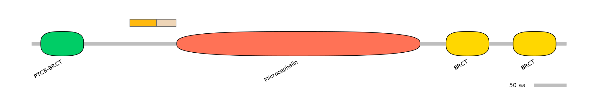 MmuINT0096775-EXC