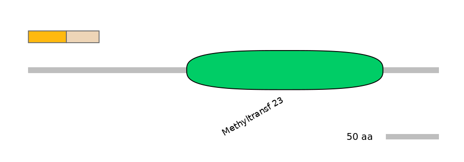 MmuINT0098029-EXC