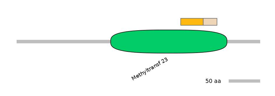 MmuINT0098035-EXC