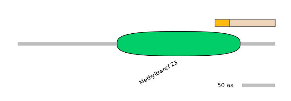 MmuINT0098036-EXC