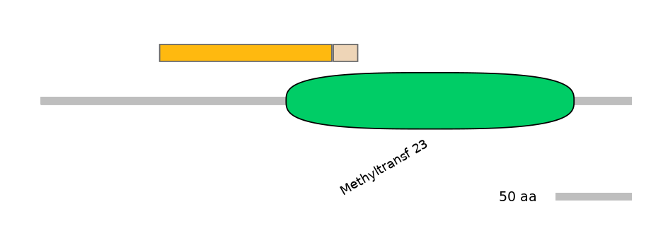 MmuINT0098068-EXC