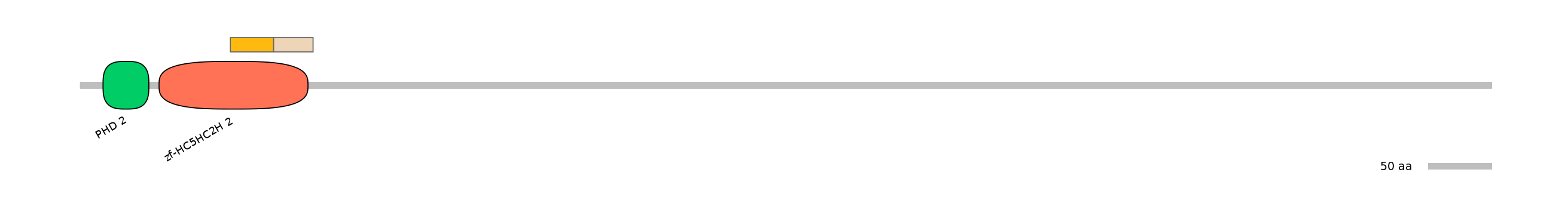 MmuINT0099402-EXC