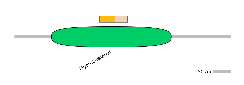 MmuINT0101997-EXC