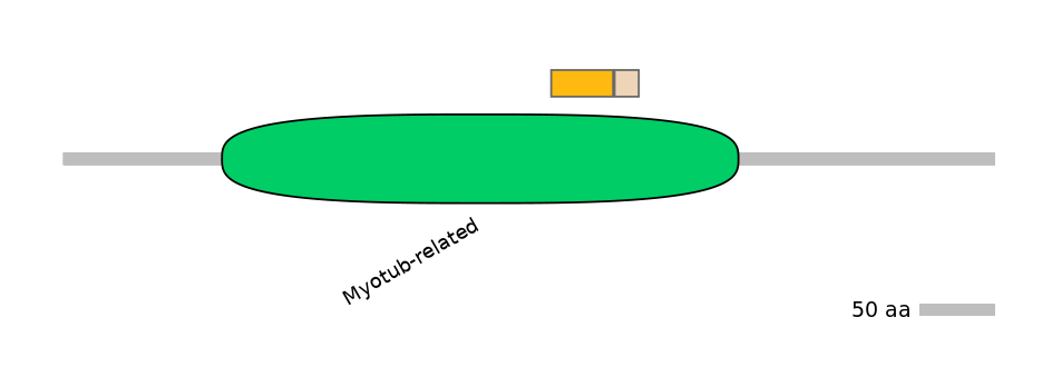MmuINT0101999-EXC