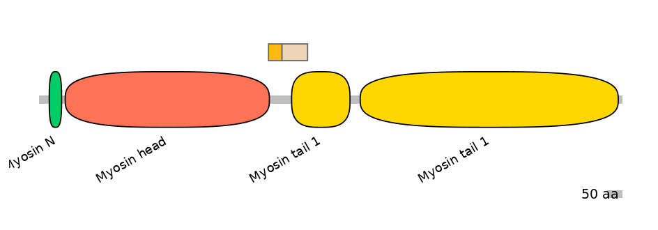 MmuINT0103464-EXC