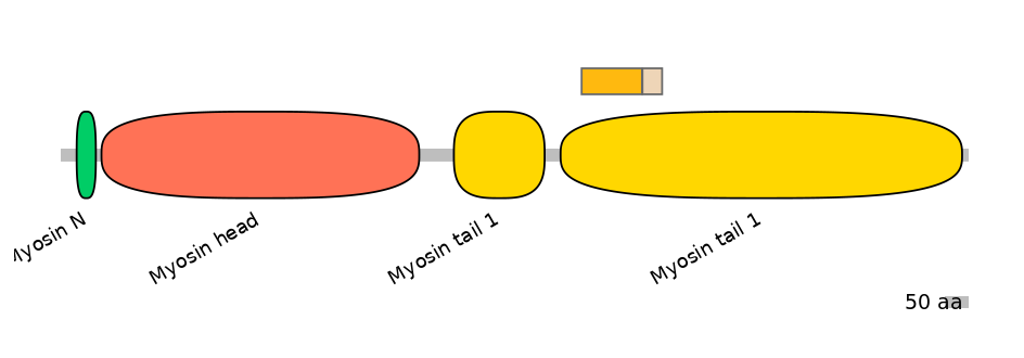 MmuINT0103470-EXC