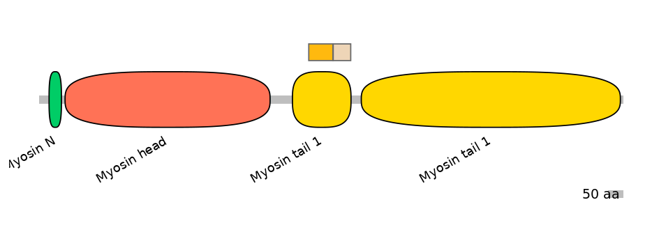 MmuINT0103582-EXC