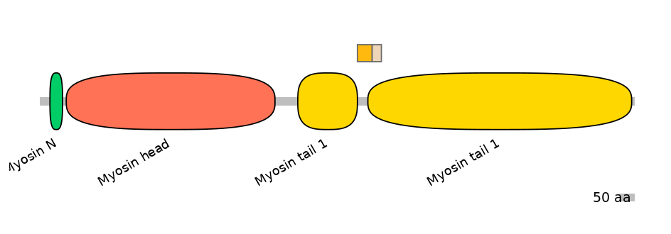 MmuINT0103584-EXC
