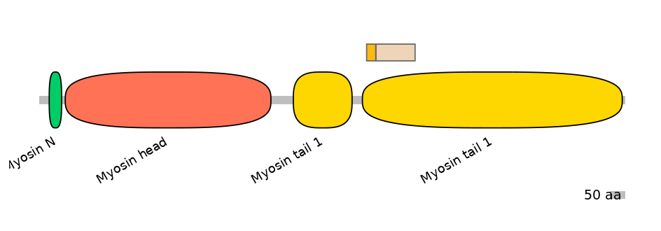 MmuINT0103585-EXC