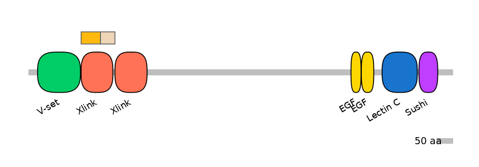 MmuINT0106191-EXC