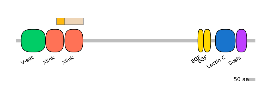 MmuINT0106192-EXC