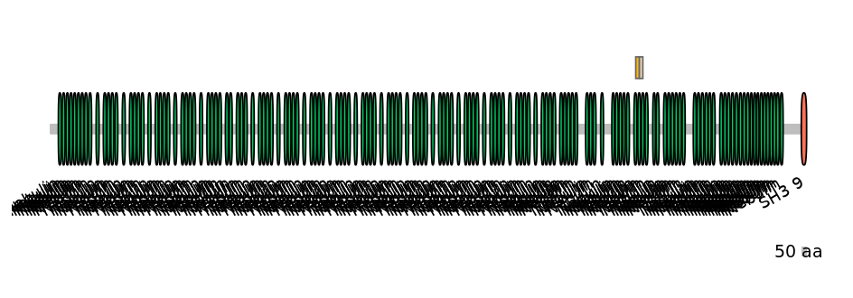MmuINT0107179-EXC