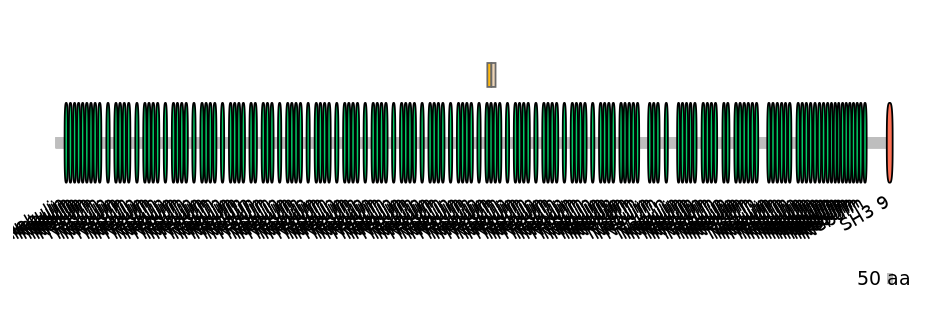MmuINT0107292-EXC