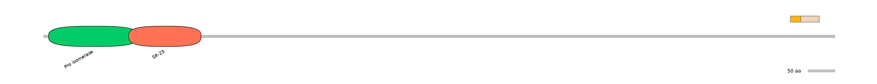 MmuINT0108805-EXC