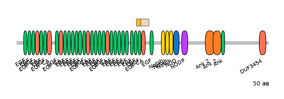 MmuINT0109775-EXC