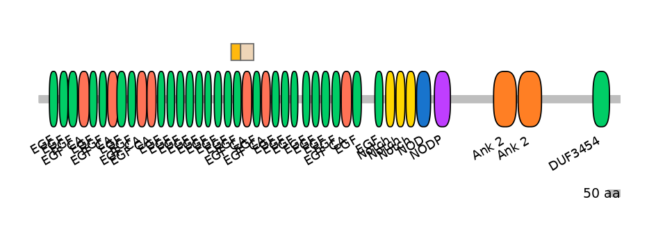 MmuINT0109800-EXC