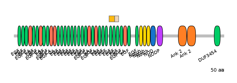 MmuINT0109806-EXC