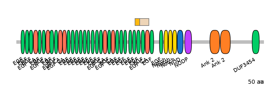 MmuINT0109807-EXC