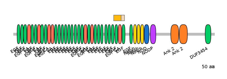 MmuINT0109808-EXC