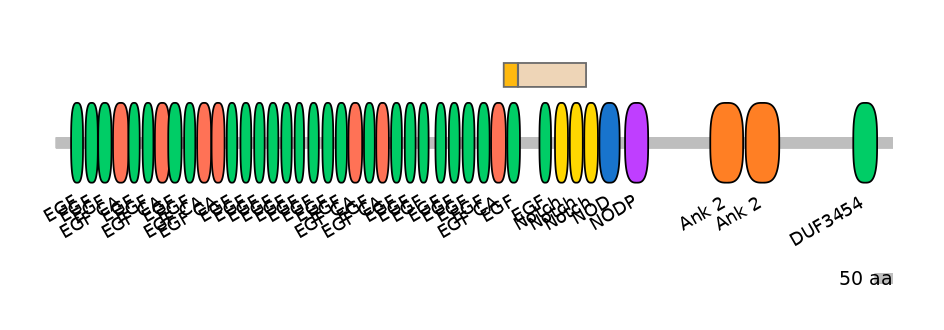 MmuINT0109809-EXC