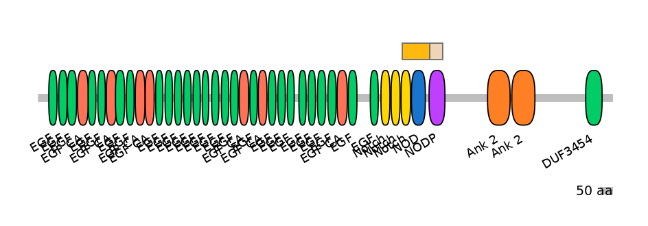 MmuINT0109811-EXC