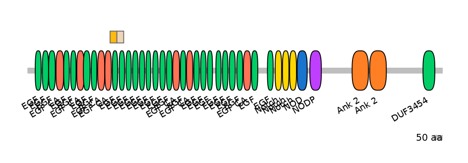 MmuINT0109825-EXC