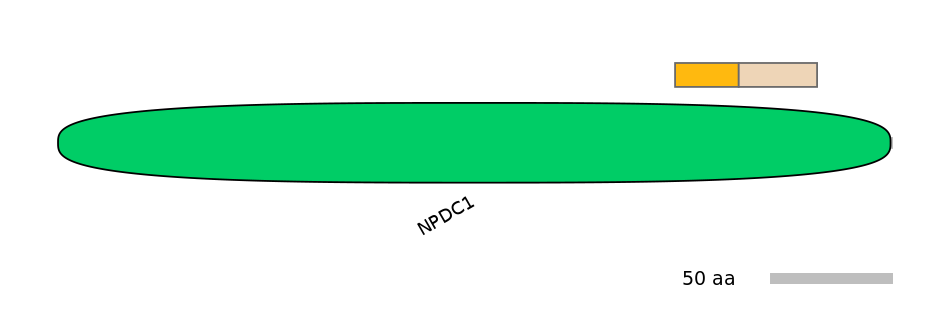 MmuINT0110058-EXC