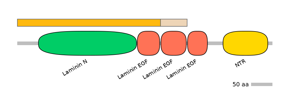 MmuINT0111249-EXC