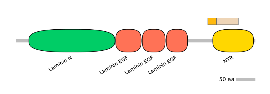 MmuINT0111266-EXC