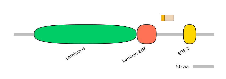 MmuINT0111284-EXC